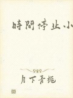 时间停止小说封面