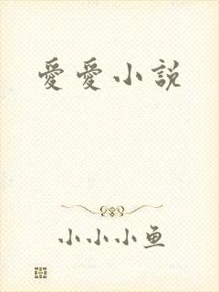 爱爱小说封面