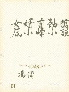 女婿有劲枪枪到底小峰小说