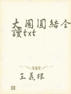 大团圆结全文阅读txt
