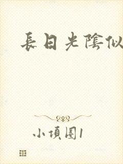 长日光阴似箭封面