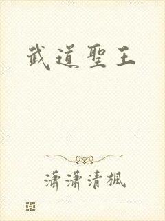 武道圣王