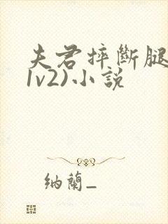 夫君摔断腿后(1v2)小说