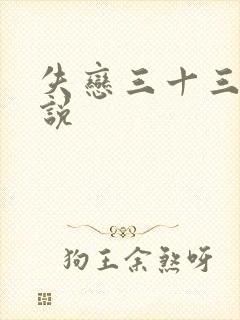 失恋三十三天小说