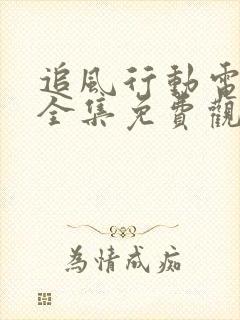 追风行动电视剧全集免费观看