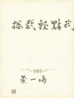 总裁轻点我怕疼