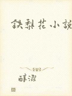 铁梨花小说