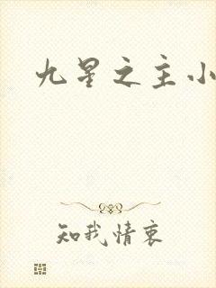 九星之主小说