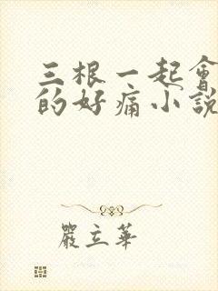 三根一起会坏掉的好痛小说