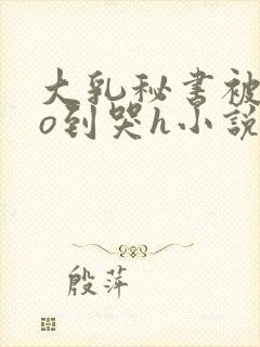 大乳秘书被cao到哭h小说