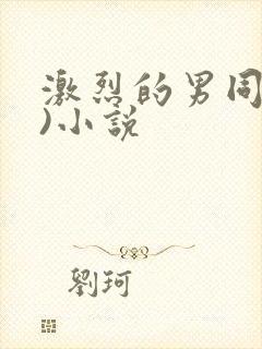激烈的男同(h)小说
