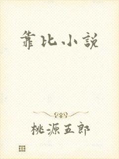 靠比小说封面