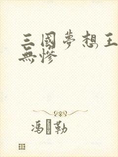 三国梦想王元姬无惨