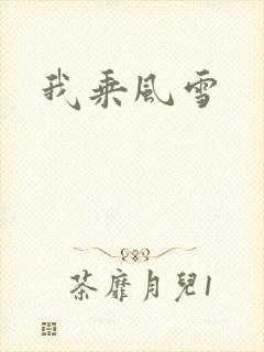 我乘风雪