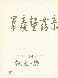 男主把女主拖进梦境里的小说封面