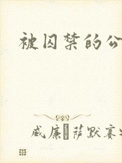 被囚禁的公主封面