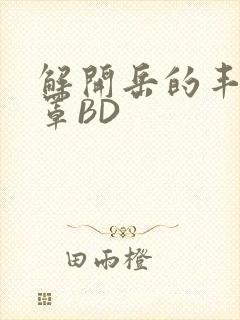 解开岳的丰满奶罩BD