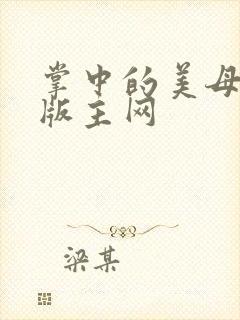 掌中的美母第一版主网