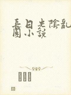 长日光阴乱作一团小说封面