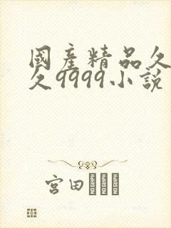 国产精品久久久久9999小说