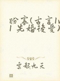 盼寡(古言1v1 先婚后爱)