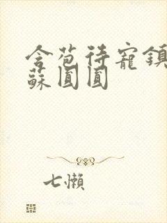 含苞待宠镇国公苏圆圆