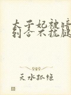 太子妃被暗卫C到合不拢腿