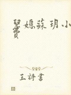 儿媳苏玥小说免费