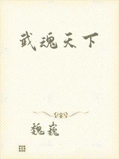 武魂天下