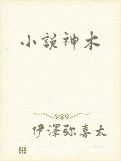 小说神木