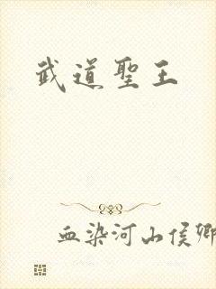 武道圣王