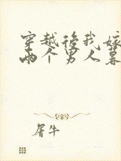 穿越后我嫁给了两个男人暮色酒歌封面