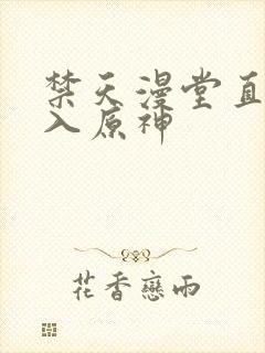 禁天漫堂直接进入原神