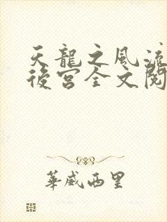 天龙之风流猎艳后宫全文阅读