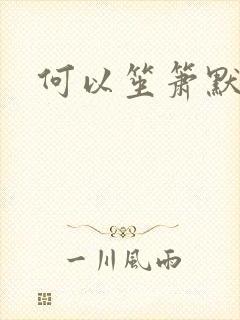 何以笙箫默小说封面