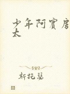 少年阿宾房东太太