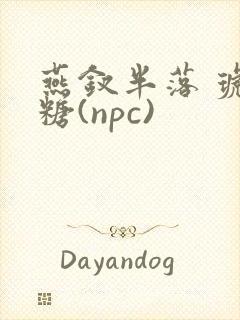 燕钗半落 琥珀糖(npc)