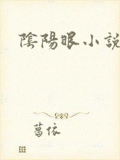 阴阳眼小说封面