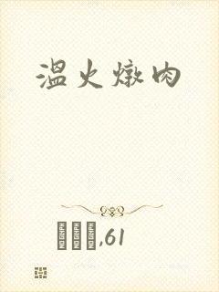 温火炖肉封面