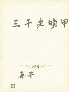 三千光明甲封面