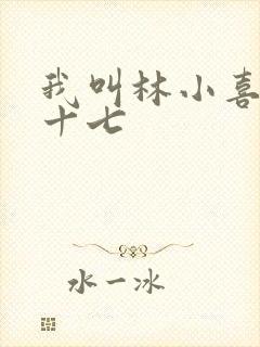 我叫林小喜今年十七