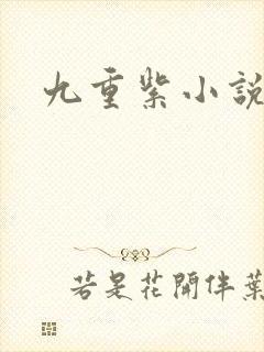九重紫小说