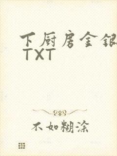 下厨房金银花露 TXT