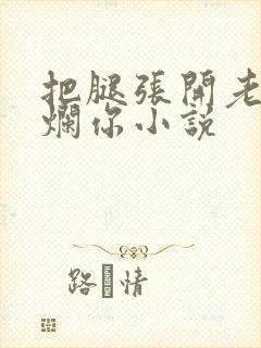 把腿张开老子臊烂你小说封面