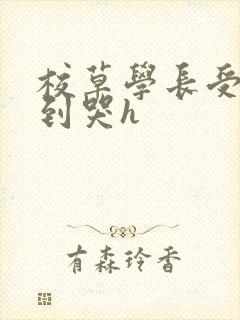 校草学长受被做到哭h封面