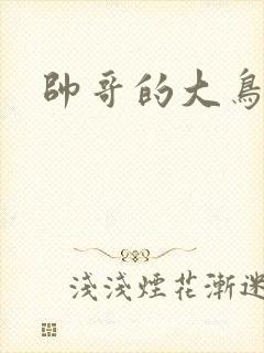 帅哥的大鸟