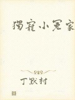 独宠小冤家封面