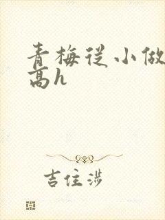 青梅从小做到大高h