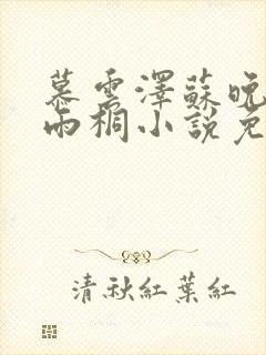 慕云泽苏晚晴夏雨桐小说免费阅读封面