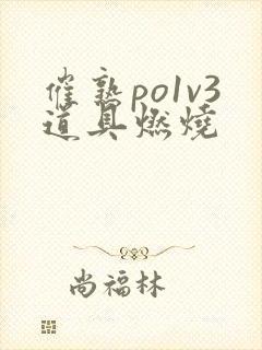 催熟po1v3道具燃烧封面